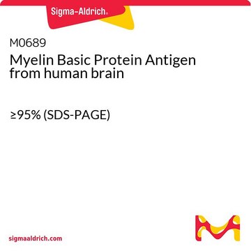 Myelin Basic Protein Antigen from