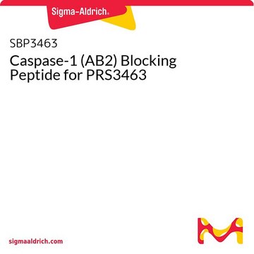 Caspase-1 (AB2) Blocking Peptide for