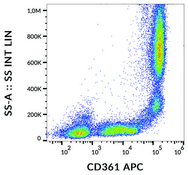 Monoclonal Anti-CD361 antibody produced in