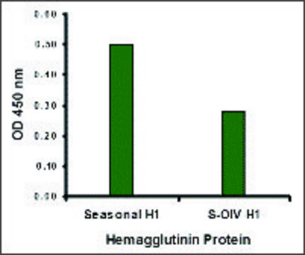 Anti-Seasonal H1N1 Hemagglutinin antibody produced