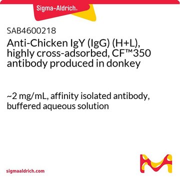 Anti-Chicken IgY (IgG) (H+L), highly