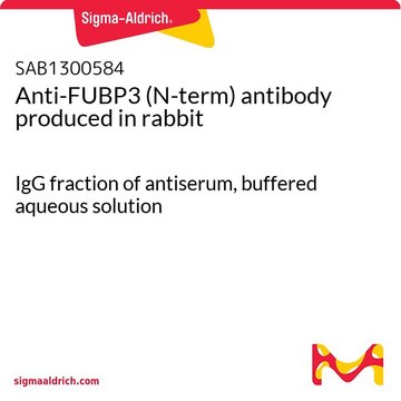 Anti-FUBP3 (N-term) antibody produced in