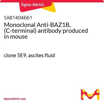 Monoclonal Anti-BAZ1B, (C-terminal) antibody produced