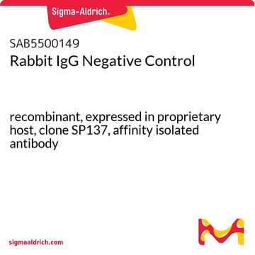 Rabbit IgG Negative Control