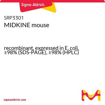 MIDKINE mouse