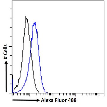 Anti-RGS14 antibody produced in goat