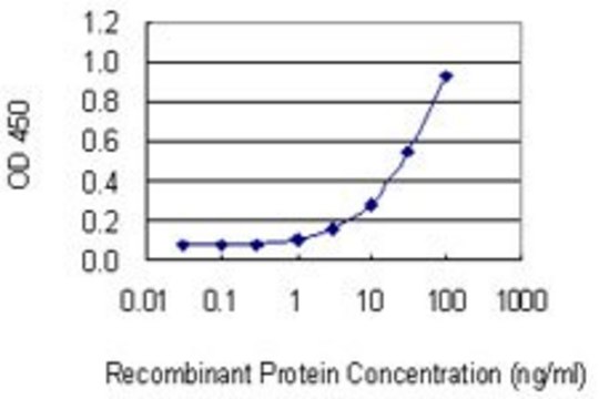 Monoclonal Anti-SULF2 antibody produced in