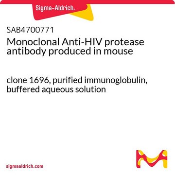 Monoclonal Anti-HIV protease antibody produced
