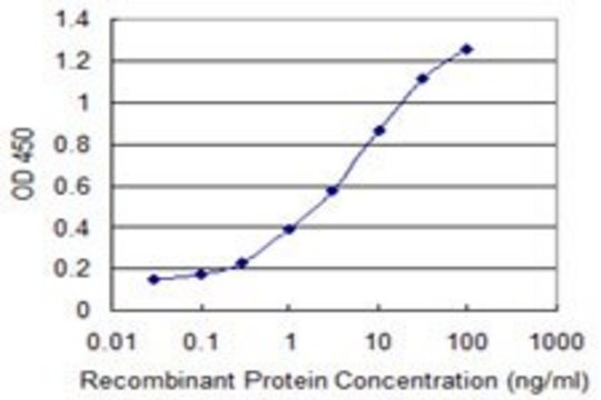 ANTI-SUPT16H antibody produced in mouse