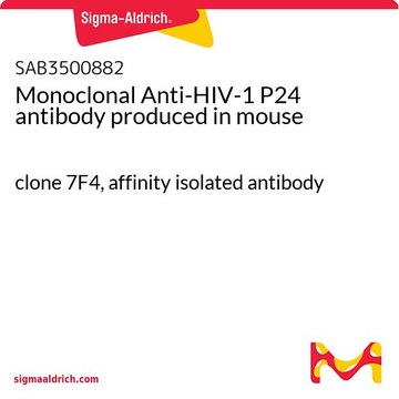 Monoclonal Anti-HIV-1 P24 antibody produced