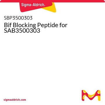 Bif Blocking Peptide for SAB3500303