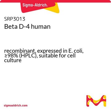 Beta D-4 human