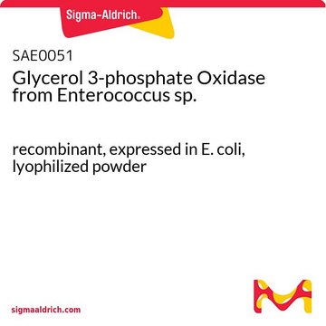 Glycerol 3-phosphate Oxidase from Enterococcus