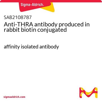 Anti-THRA antibody produced in rabbit