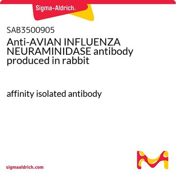Anti-AVIAN INFLUENZA NEURAMINIDASE antibody produced