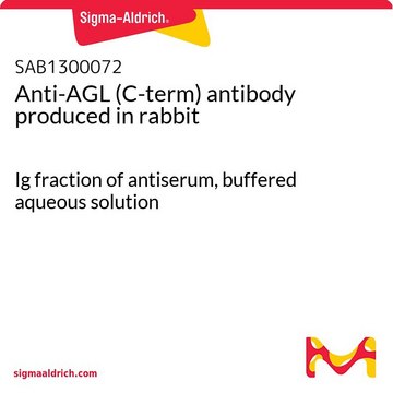 Anti-AGL (C-term) antibody produced in