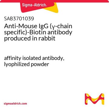 Anti-Mouse IgG (?-chain specific)-Biotin antibody