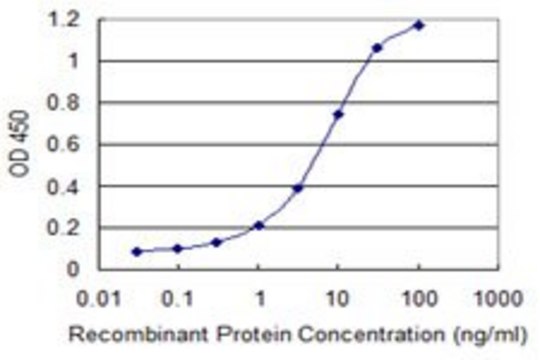 Monoclonal Anti-QDPR antibody produced in