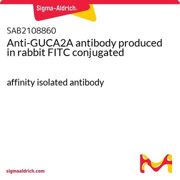 Anti-GUCA2A antibody produced in rabbit