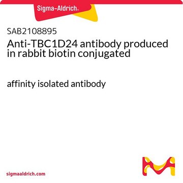 Anti-TBC1D24 antibody produced in rabbit