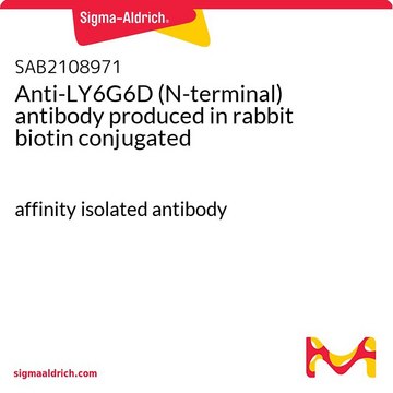 Anti-LY6G6D (N-terminal) antibody produced in
