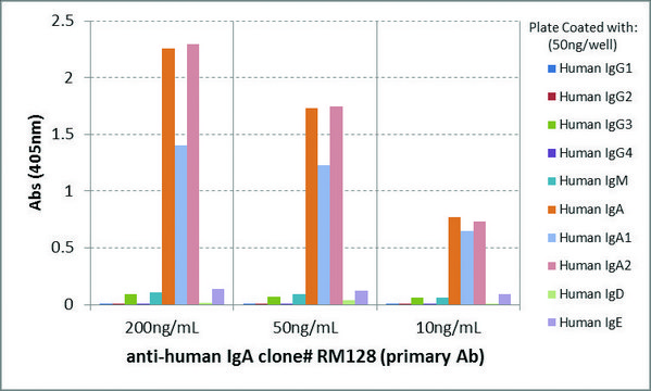 Anti-Human IgA-Biotin antibody, Rabbit monoclonal