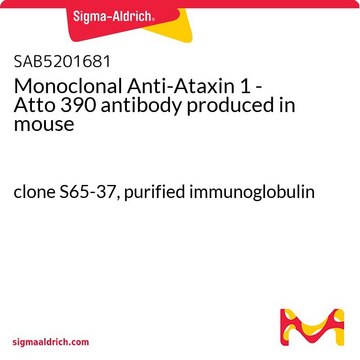 Monoclonal Anti-Ataxin 1 - Atto