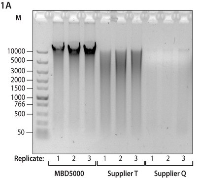 GenElute™ Microbiome DNA Purification Kit