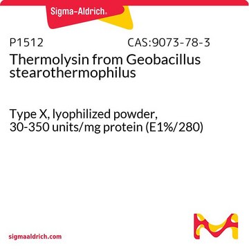 Thermolysin from Geobacillus stearothermophilus