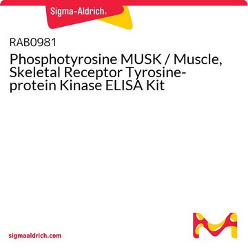Phosphotyrosine MUSK / Muscle, Skeletal
