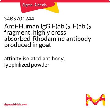 Anti-Human IgG F(ab?)?, F(ab?)? fragment,