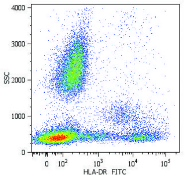 Monoclonal Anti-HLA-DR-FITC antibody produced in