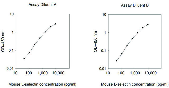Mouse Sell / L-selectin ELISA