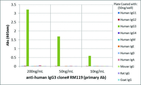 Anti-Human IgG3-Biotin antibody, Rabbit monoclonal