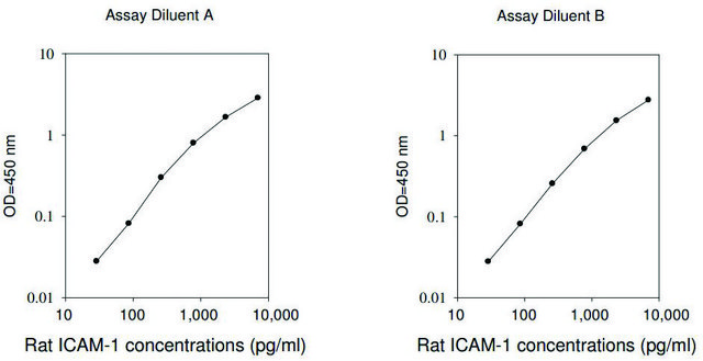 Rat ICAM-1 ELISA Kit