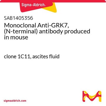 Monoclonal Anti-GRK7, (N-terminal) antibody produced