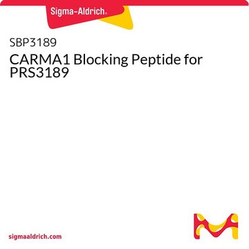 CARMA1 Blocking Peptide for PRS3189