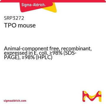 TPO mouse