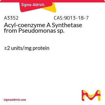 Acyl-coenzyme A Synthetase from Pseudomonas sp.