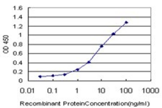 ANTI-TCL1A antibody produced in mouse