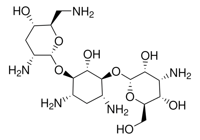 Tobramycin