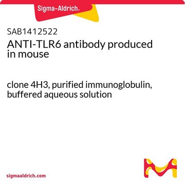 ANTI-TLR6 antibody produced in mouse