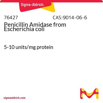 Penicillin Amidase from Escherichia coli