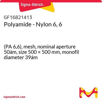 POLYAMIDE - NYLON 6, 6,