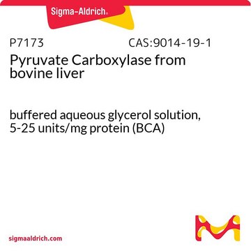 Pyruvate Carboxylase from bovine liver