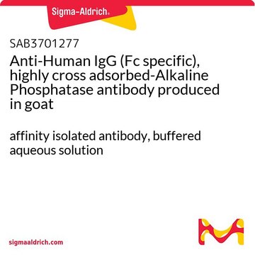 Anti-Human IgG (Fc specific), highly