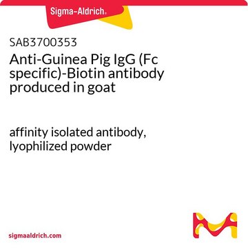 Anti-Guinea Pig IgG (Fc specific)-Biotin