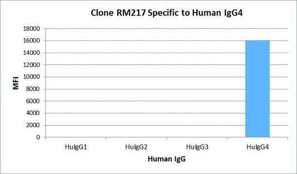 Anti-Human IgG4 Fc-Biotin antibody, Rabbit