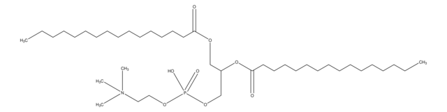 1,2-Dipalmitoyl-rac-glycero-3-phosphocholine