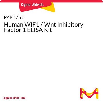 Human WIF1 / Wnt Inhibitory